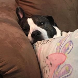 Meet your Posher, Kendra